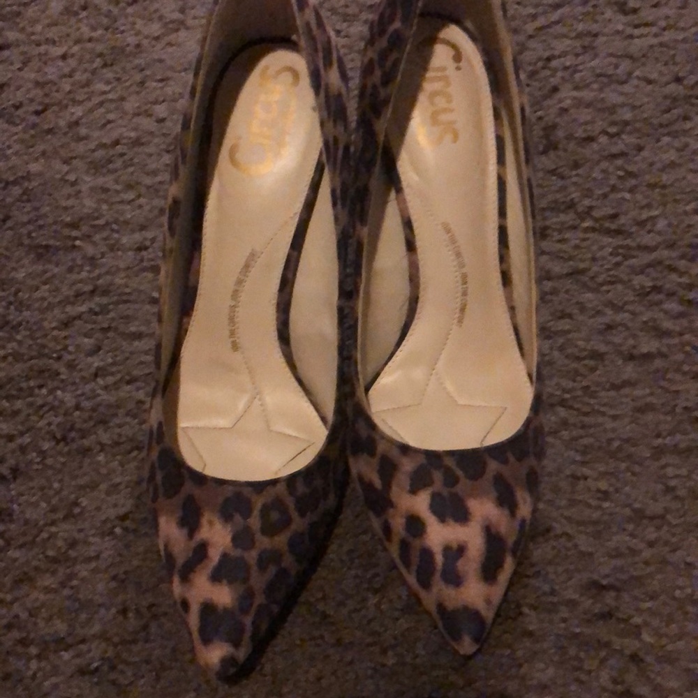 Circus by Sam Edelman leopard pump